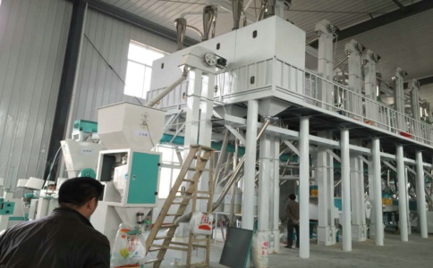 ���׼ӹ��O��